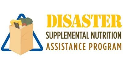 DSNAP approved for residents in 25 Louisiana parishes hit by Hurricane Ida