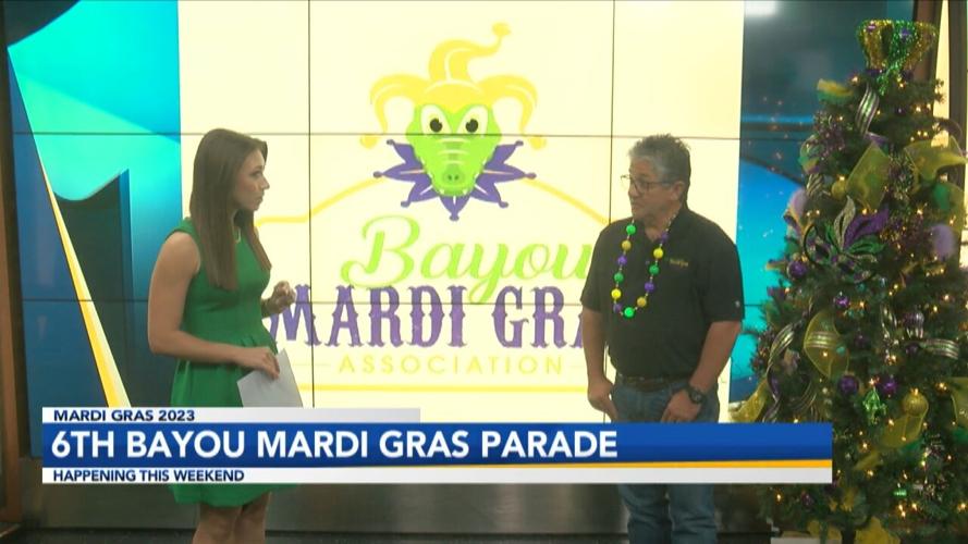 Bayou Mardi Gras Parade Interview