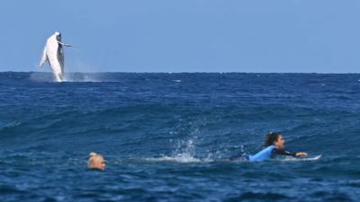 A whale breaches during women's surfing at the 2024 Paris Olympics.