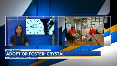 Storm Foster Interview.jpg